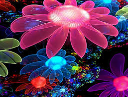 Rainbow flowers