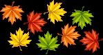 Autumn leaves