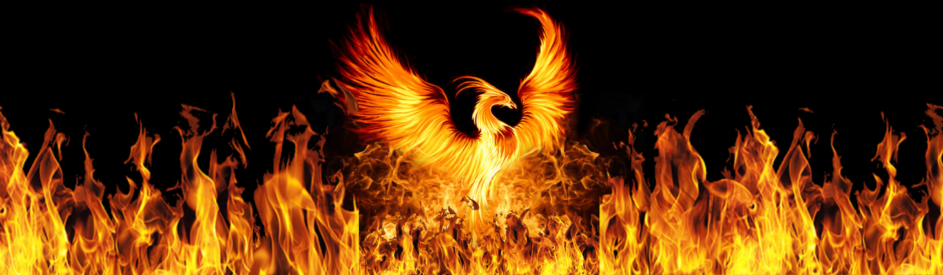 Fire Pheonix