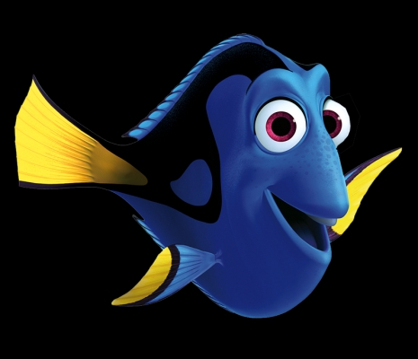 dory