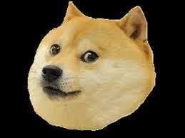 Doge