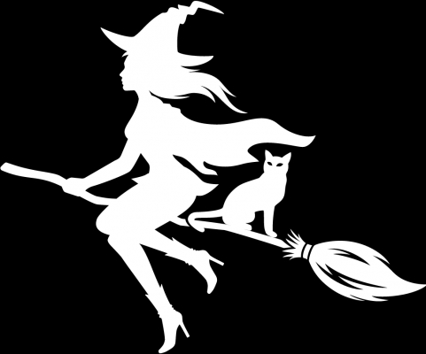 Flying witch with cat