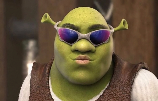 Shrek Rave