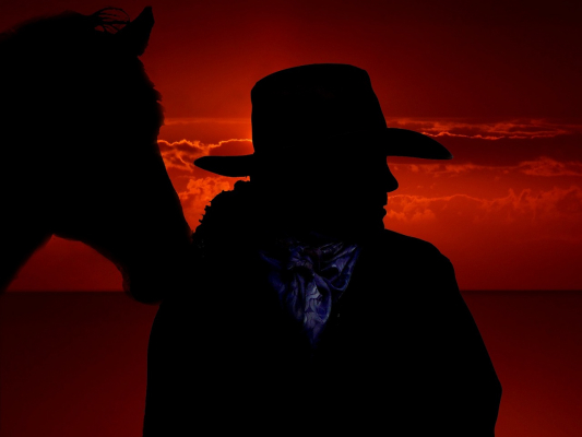 cowboy and horse