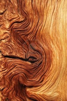 wood grain 3 of 3