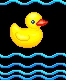 Bathing ducks