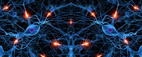 Brain Activity