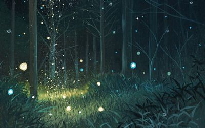 forest