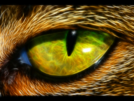 28706 fractal fractal animal eye   Copy