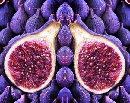 fruit figs