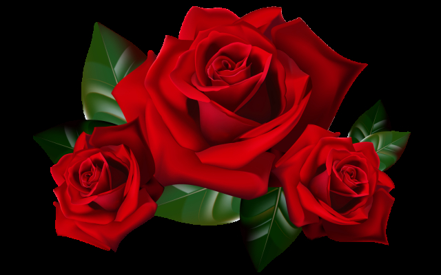 Realistic roses
