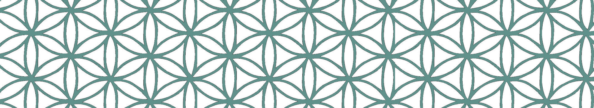 Flower of Life Panorama 3