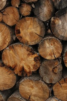 firewood 1 of 3