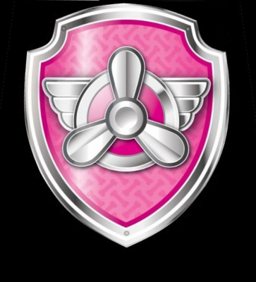paw patrol shield skye