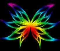 rainbow buterfly