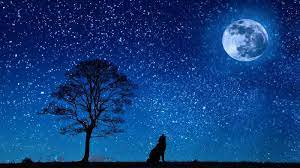 Moonlight
