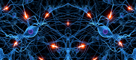 Brain Activity