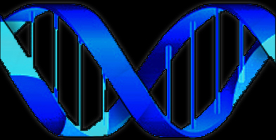 fineSeufzer DNAchain