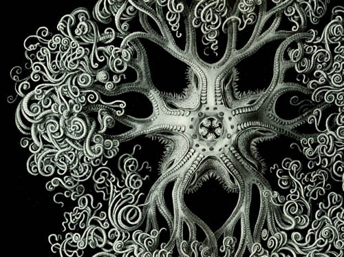 fractal trippy 26
