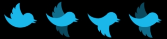twitter bird