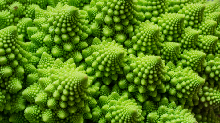 nature fractals