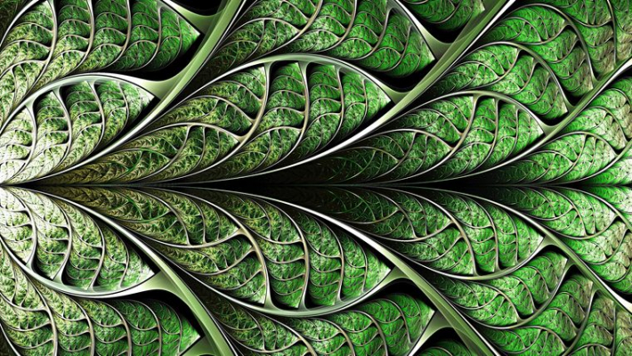 fractal trippy 30