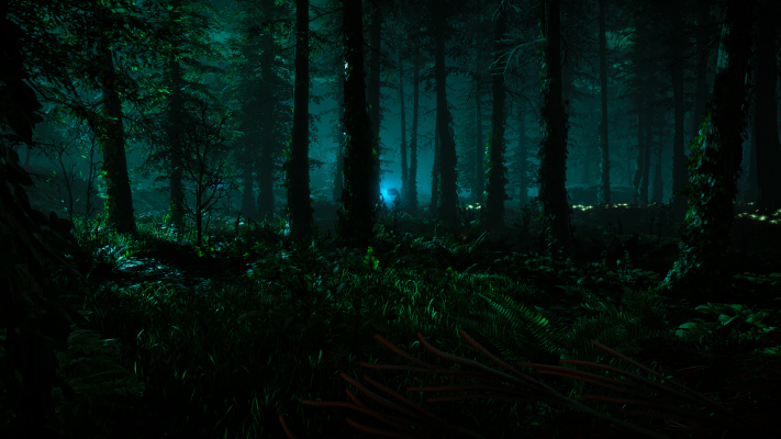 forest  2