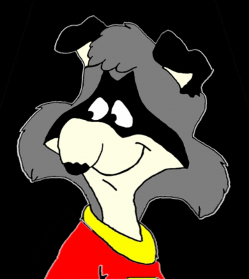 bert racoon $
