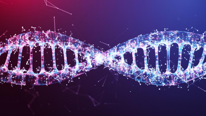 dna 2