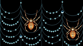 Spiders