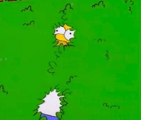 homer bush animation 5 of 6