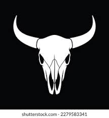 cow skull