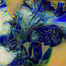 abstract micro flower