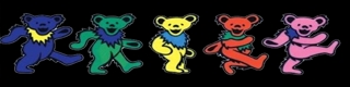 bears