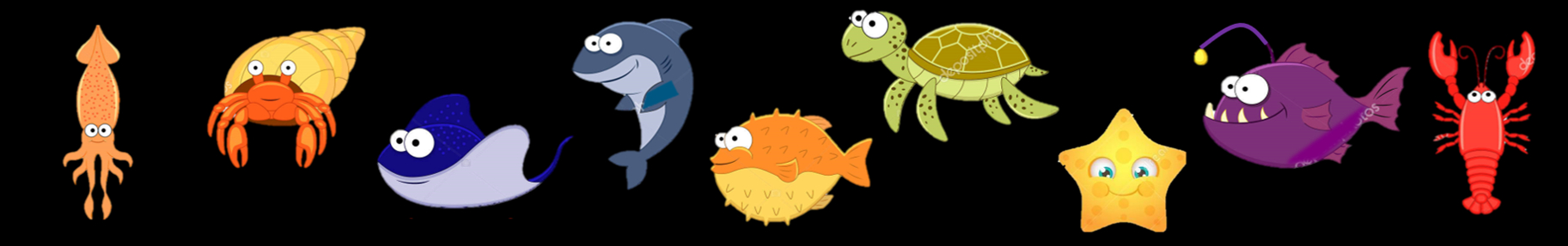 Tropical Sea Creatures