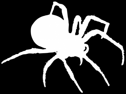Spider Halloween