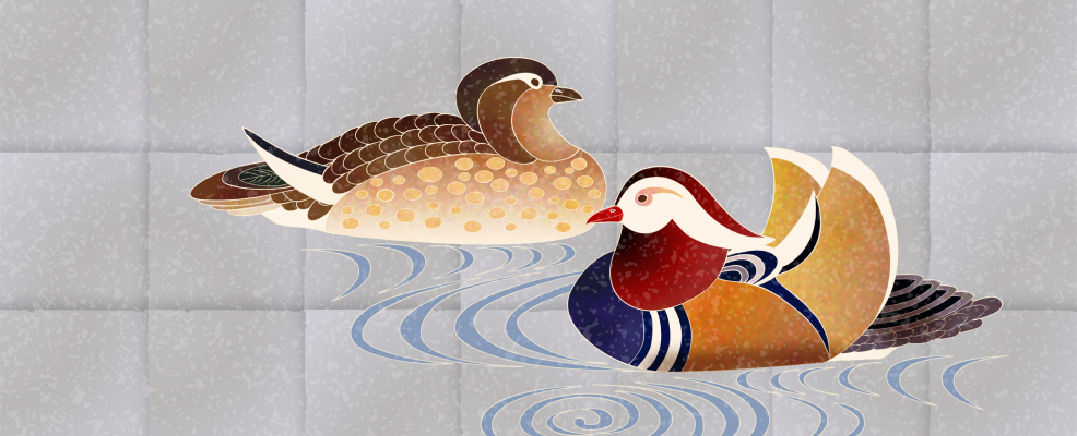 Mandarin duck