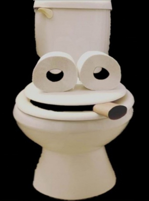 toilet prank