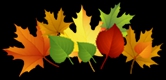 autumn leaf