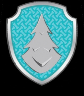 paw partol shield everest