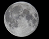 Full moon
