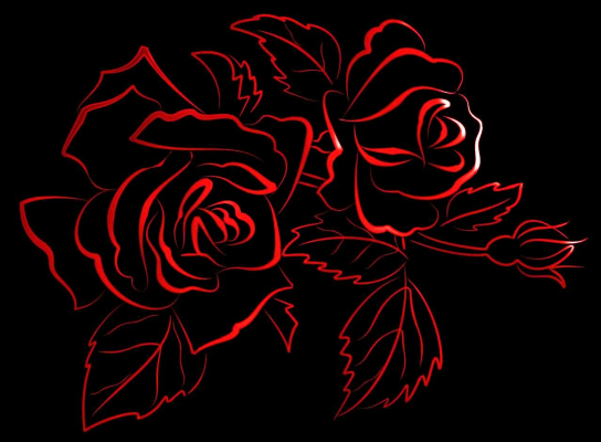Large Rose