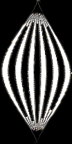 fineSeufzer StripeBalloons 1/3