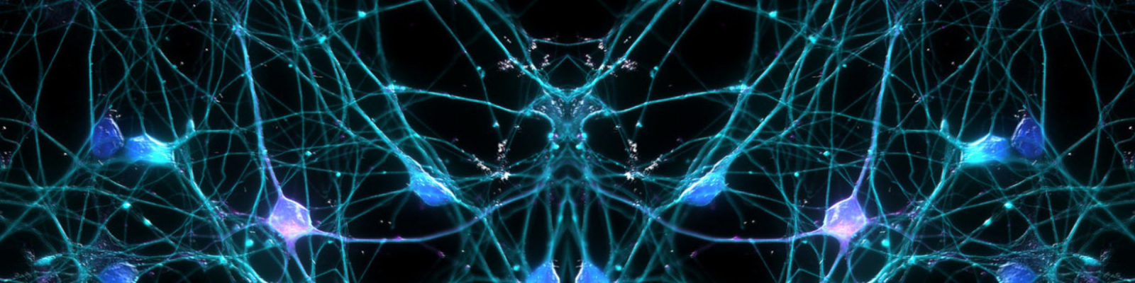 neurons 1