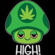 high mushroom $
