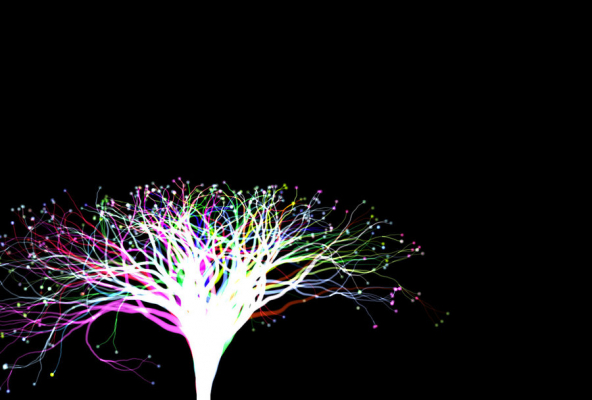 neon tree