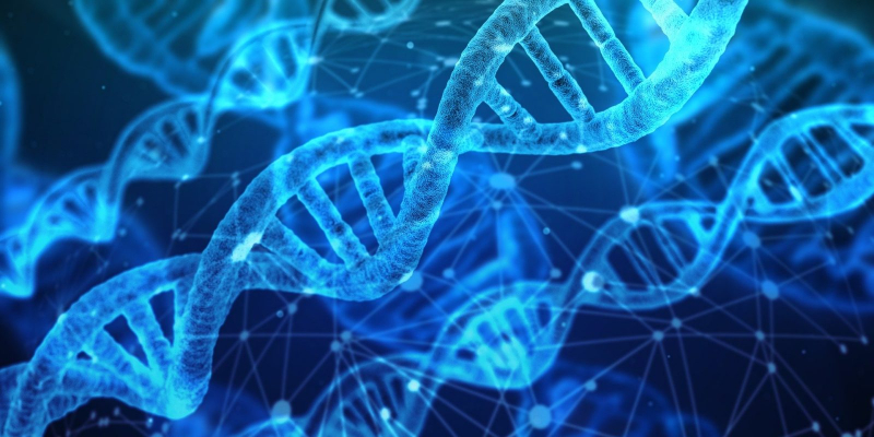 dna 5