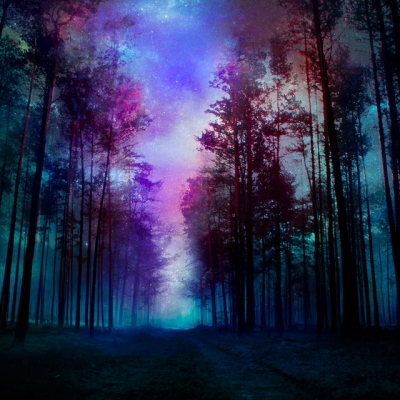 magical forest   night by baxiaart