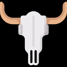 cow skull