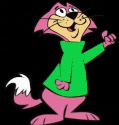 cat with green sweater